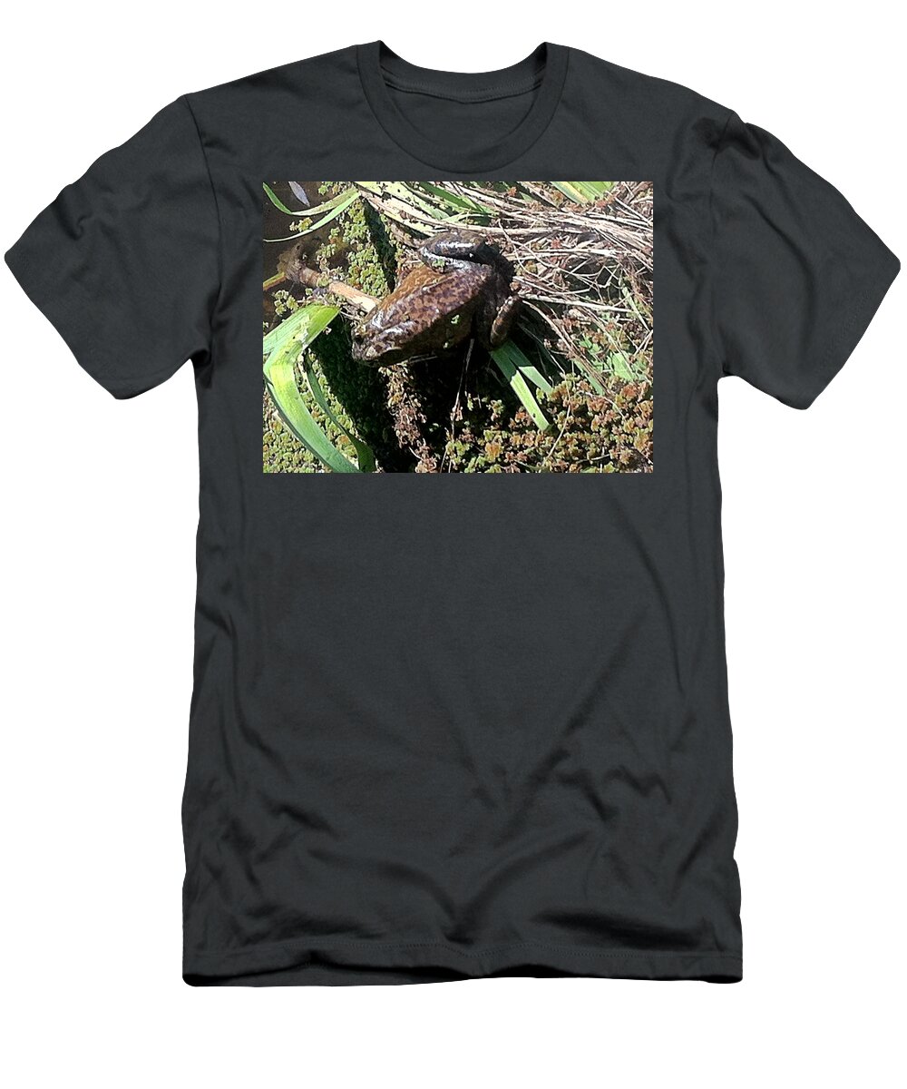 Frog And Moss T-Shirt featuring the photograph Enjoying sunshine by Dottie Visker