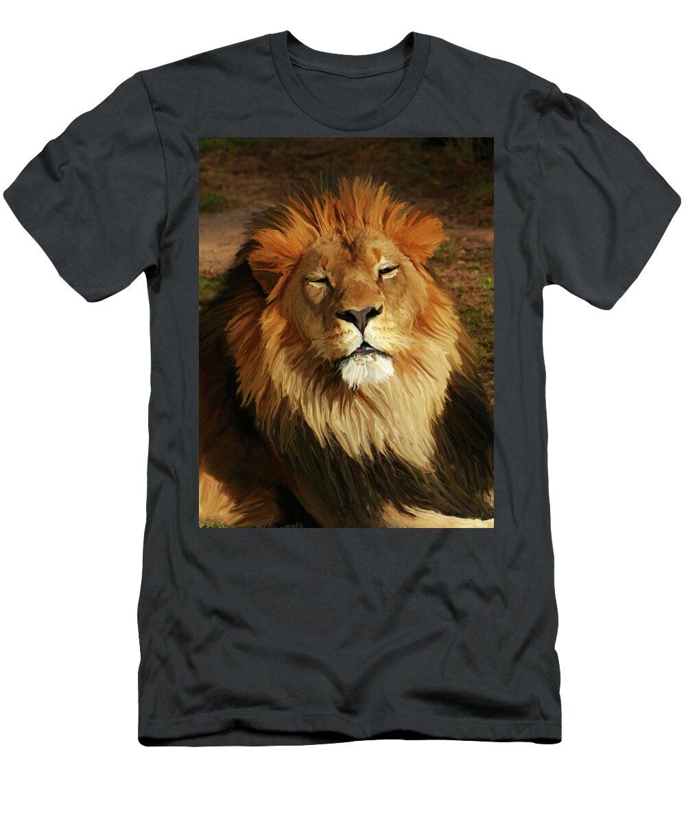 Lion T-Shirt featuring the photograph Enjoying the Day by Laurel Powell