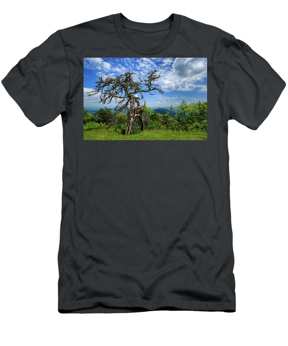 Blue Ridge Parkway T-Shirt featuring the photograph Ent at the Top of the Hill - Color by Joni Eskridge