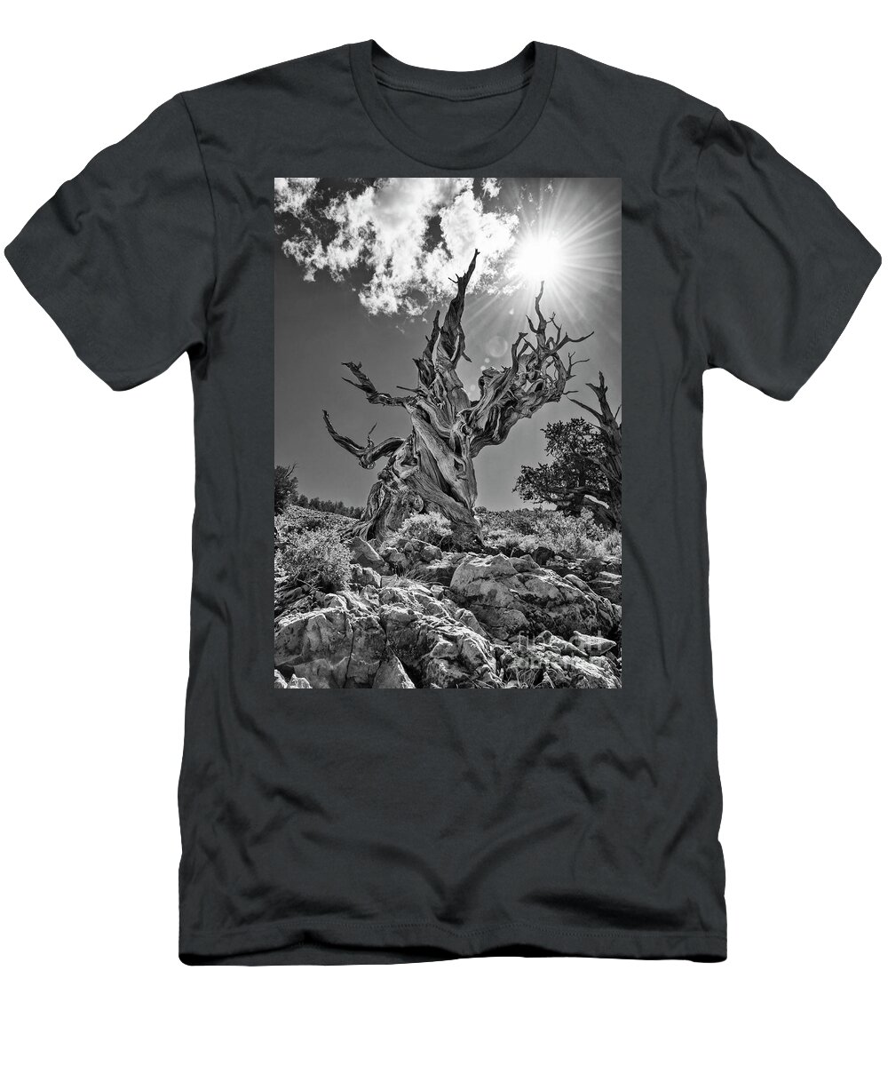 Ancient Bristlecone Pine Forest T-Shirt featuring the photograph Eternity by Jamie Pham