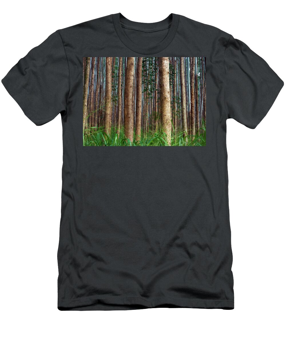 Hawaii T-Shirt featuring the photograph Eucalyptus Forest by Christopher Johnson