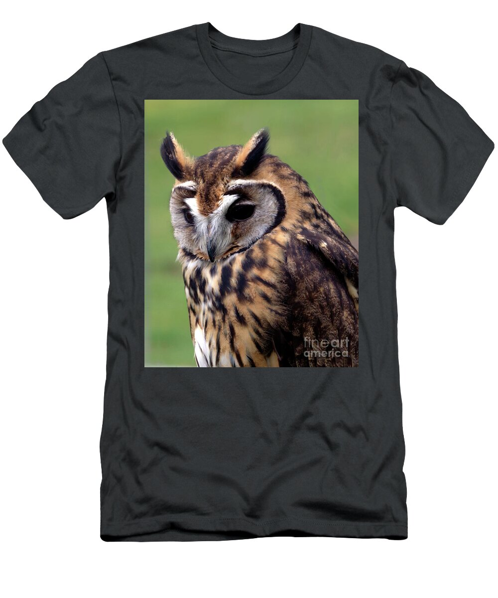 Owl T-Shirt featuring the photograph Eurasian Striped Owl by Stephen Melia