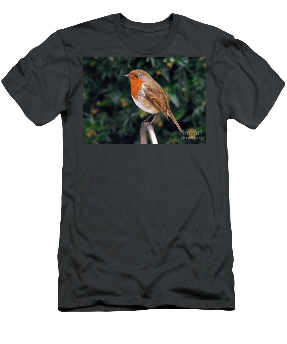 European Robin T-Shirt featuring the photograph European Robin Erithacus rubecula by Martyn Arnold