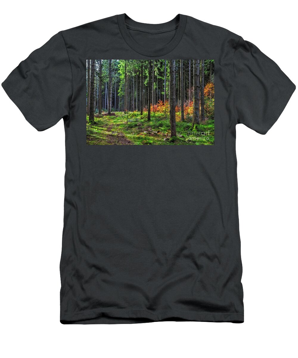 Black-forest T-Shirt featuring the photograph Evening light by Bernd Laeschke