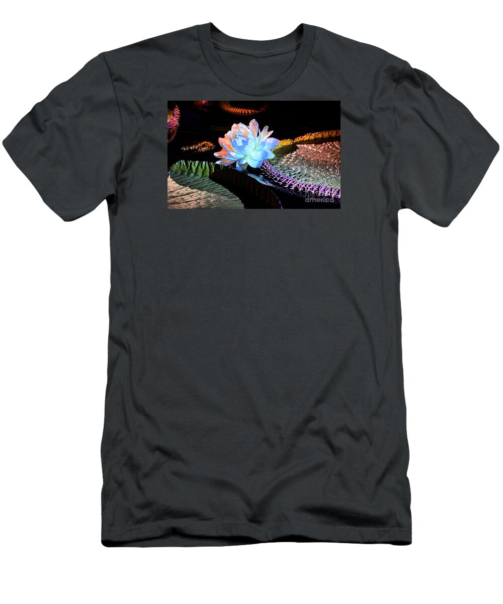 Flowers T-Shirt featuring the photograph Evening Splendor by Cindy Manero