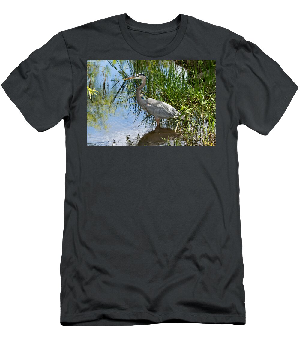 Everglades National Park T-Shirt featuring the photograph Everglades 572 by Michael Fryd
