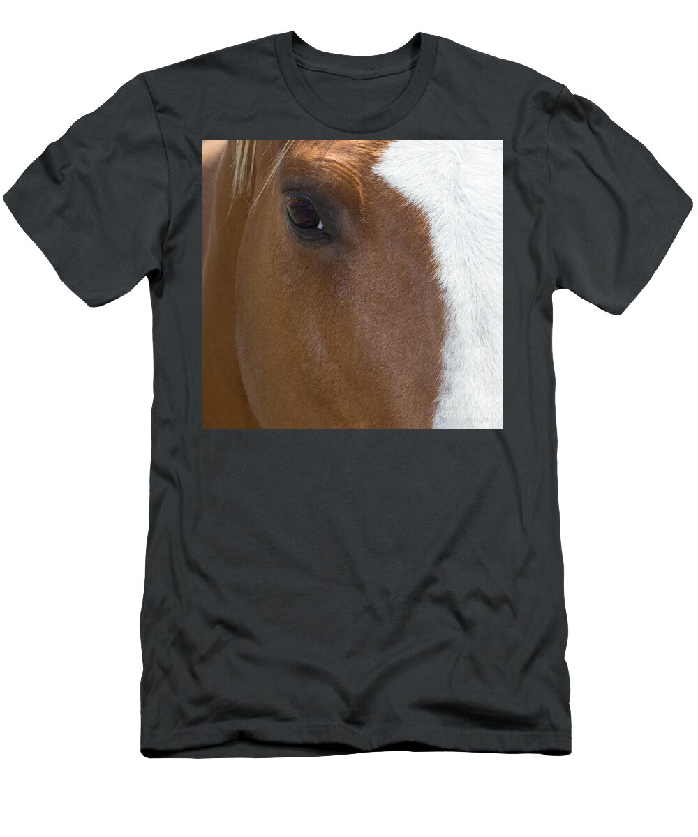 Eye T-Shirt featuring the photograph Eye on You Horse by Roberta Byram