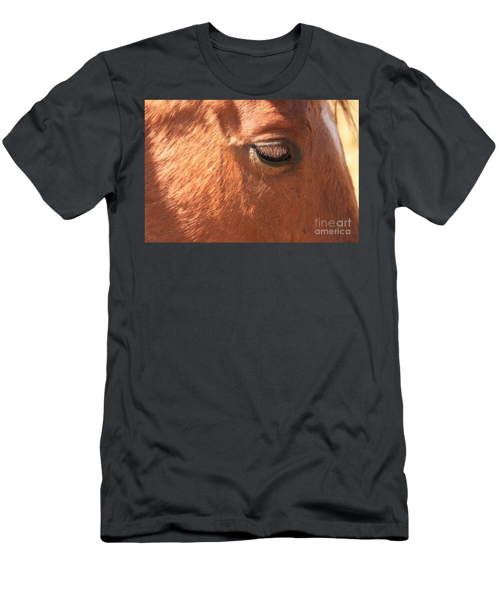 Horse T-Shirt featuring the photograph Eyelashes - Horse Close up by James BO Insogna