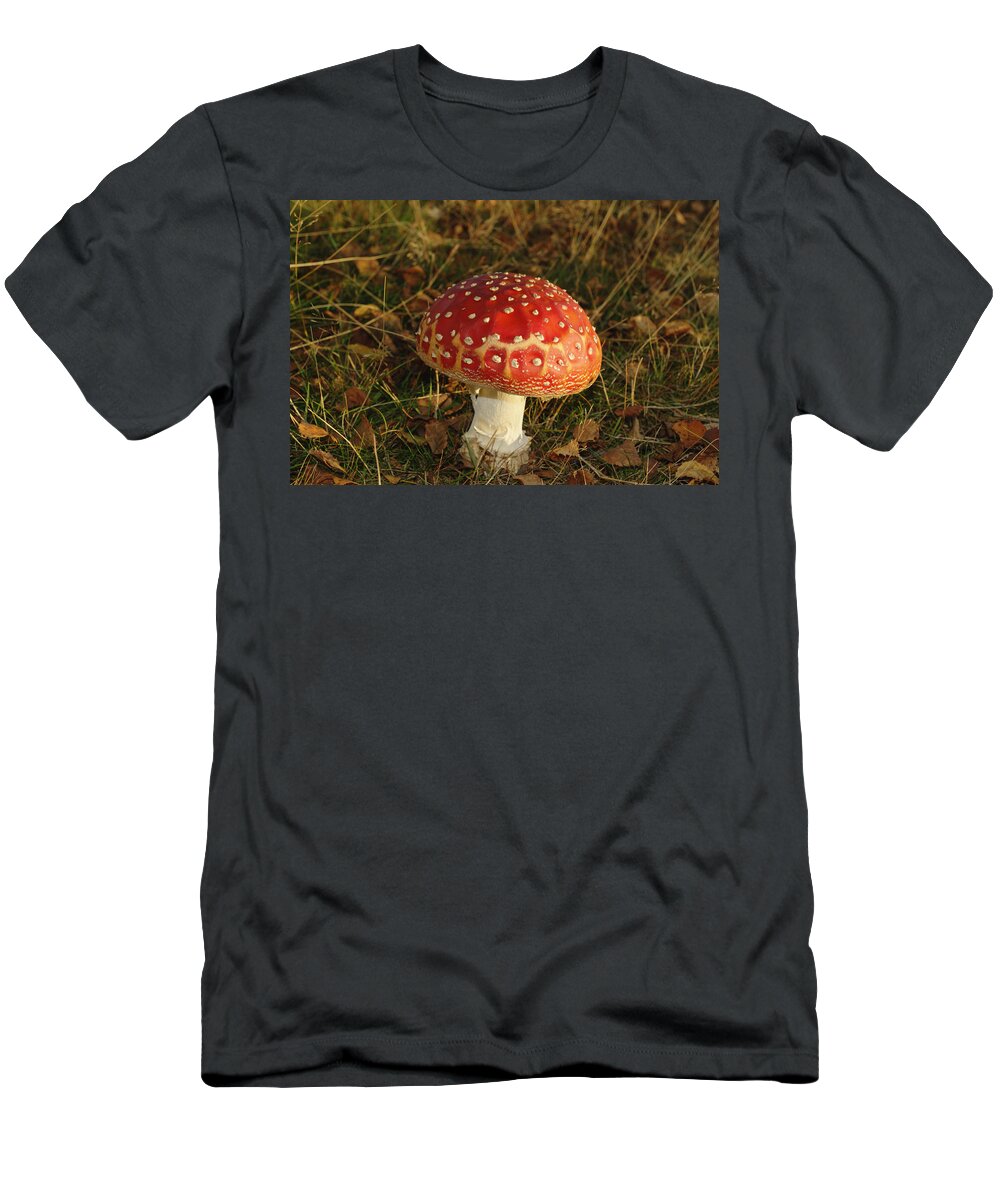 Fairy Tale T-Shirt featuring the photograph Fairy Tale Mushroom by Adrian Wale