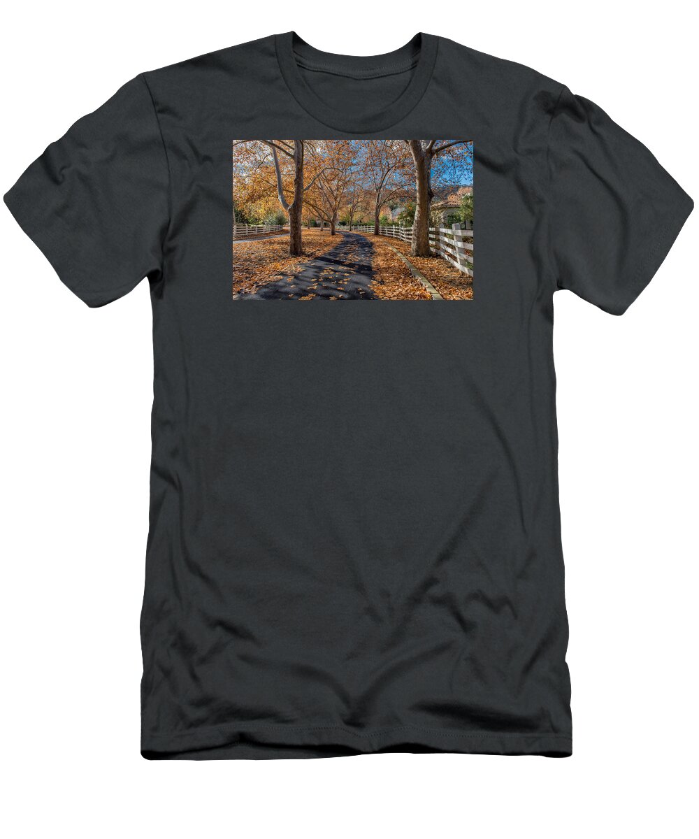 Fall T-Shirt featuring the photograph Fall at Home by Robin Mayoff
