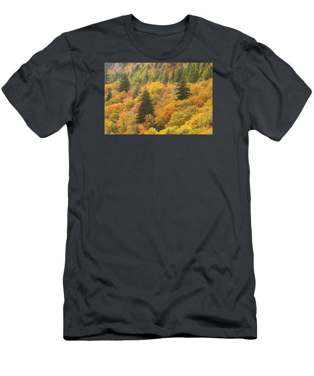Smoky Mountains T-Shirt featuring the photograph Fall Color Newfound Gap by Harold Stinnette