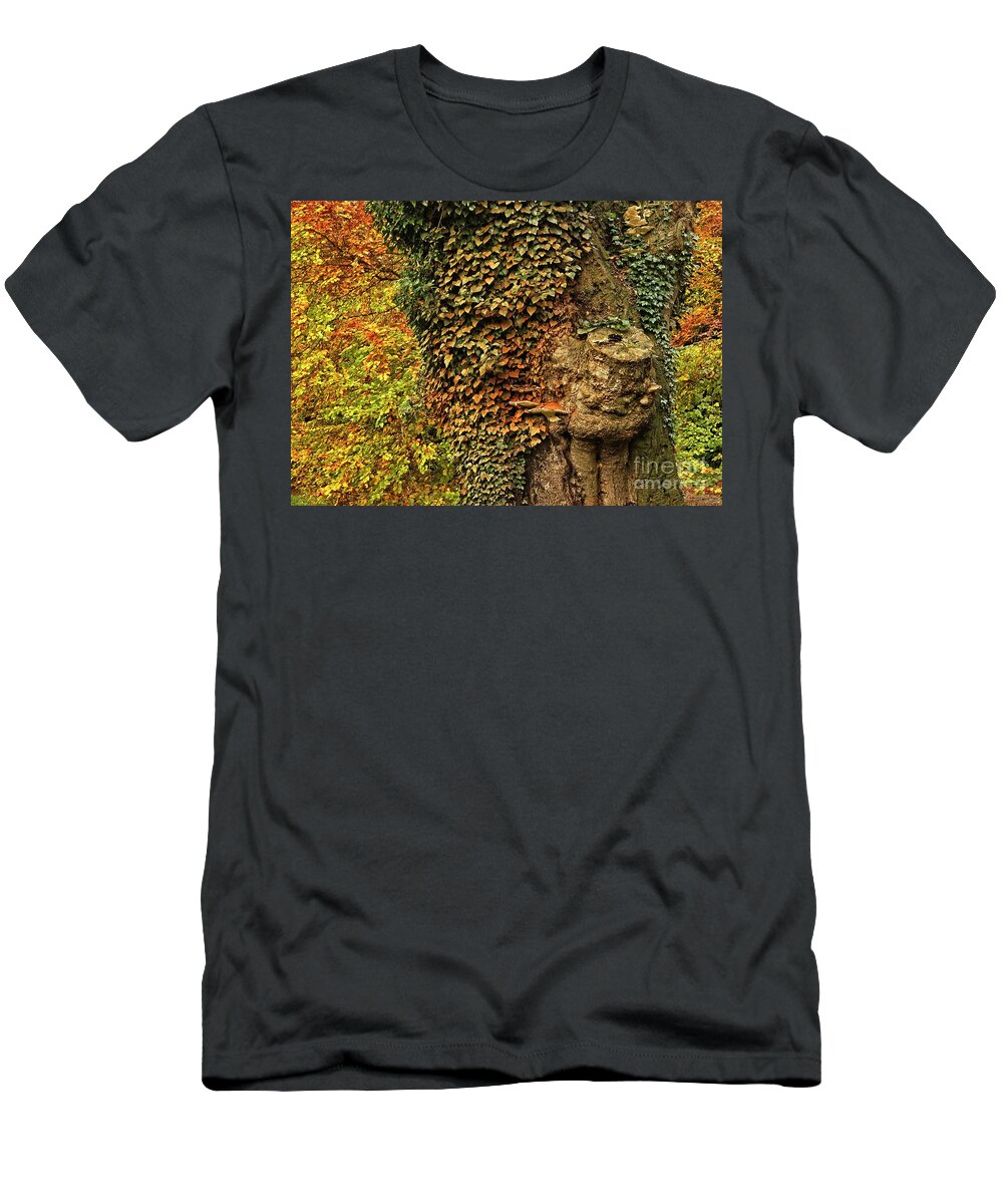 Fall Colors T-Shirt featuring the photograph Fall Colors in Nature by Martyn Arnold