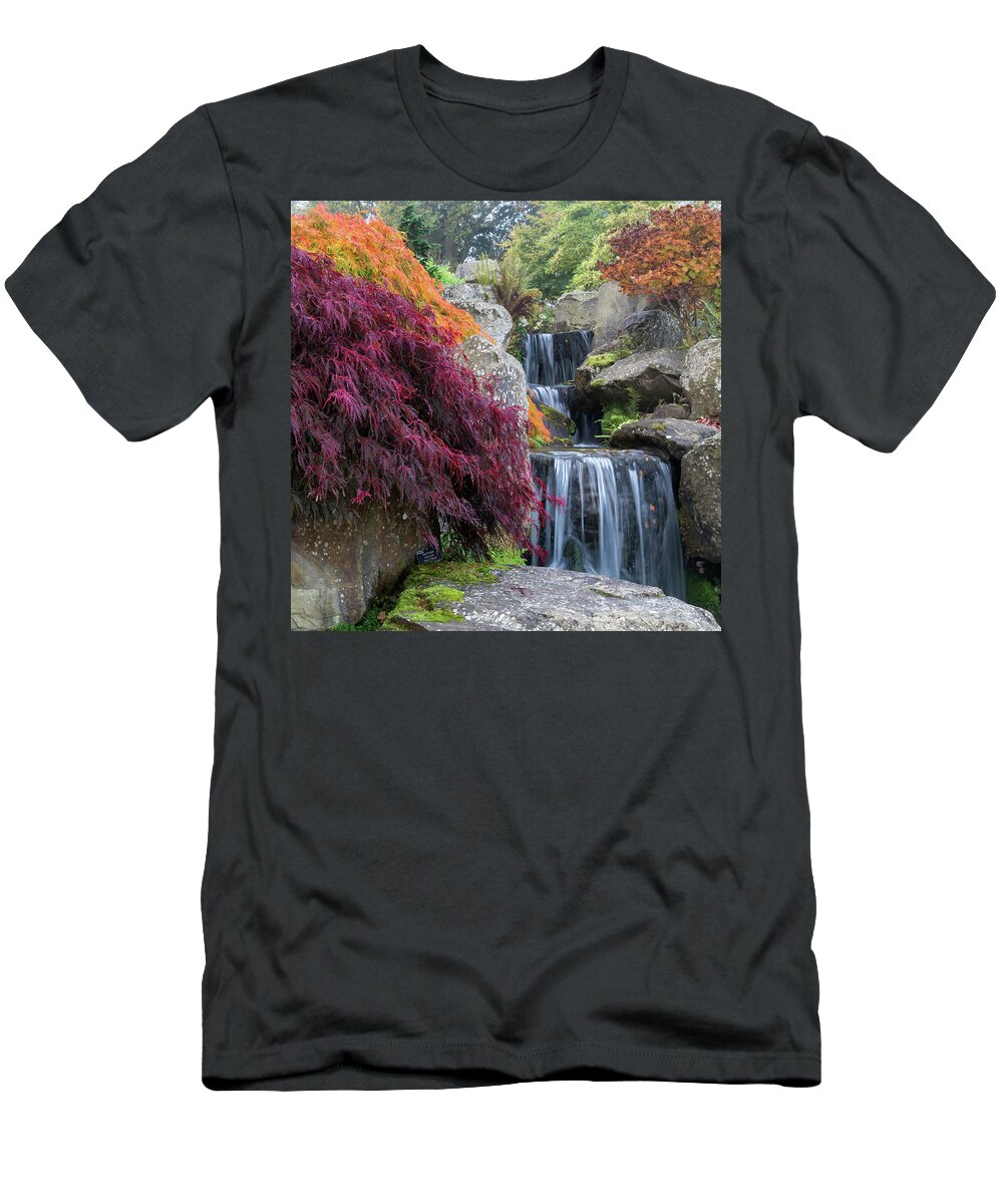 Landscape T-Shirt featuring the photograph Fall Colors ll by Shirley Mitchell