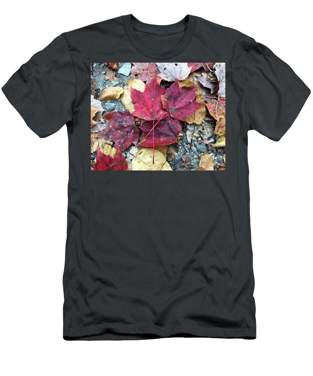 Fall Colors T-Shirt featuring the photograph Fall Colors by Robert J Wagner
