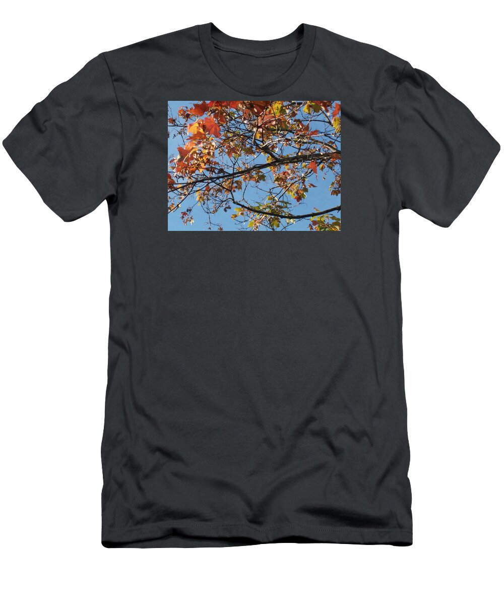 Autumn Landscape T-Shirt featuring the photograph Fall by Doris Giardini