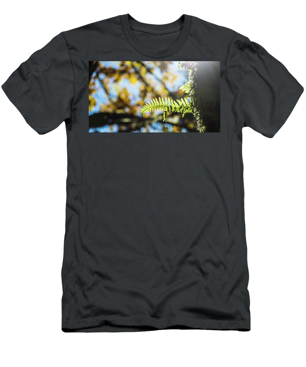 Fern T-Shirt featuring the photograph Fall Ferns 3 by Pelo Blanco Photo
