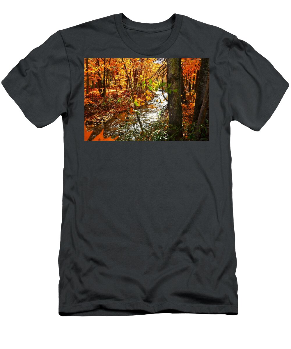  T-Shirt featuring the photograph Fall in the Mountains by Chuck Brown
