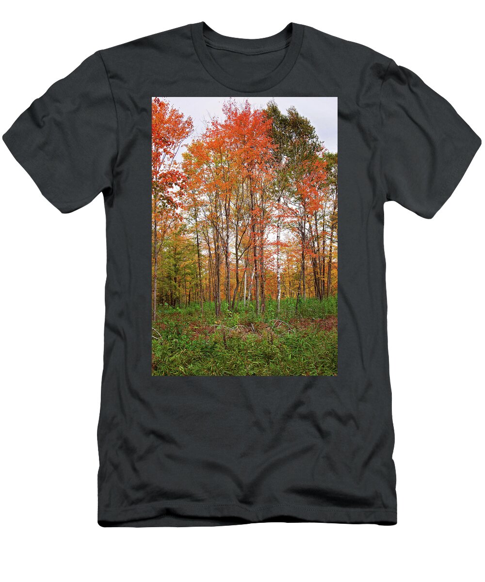 Fall Landscape Portrait T-Shirt featuring the photograph Fall Landscape Portrait by Gwen Gibson