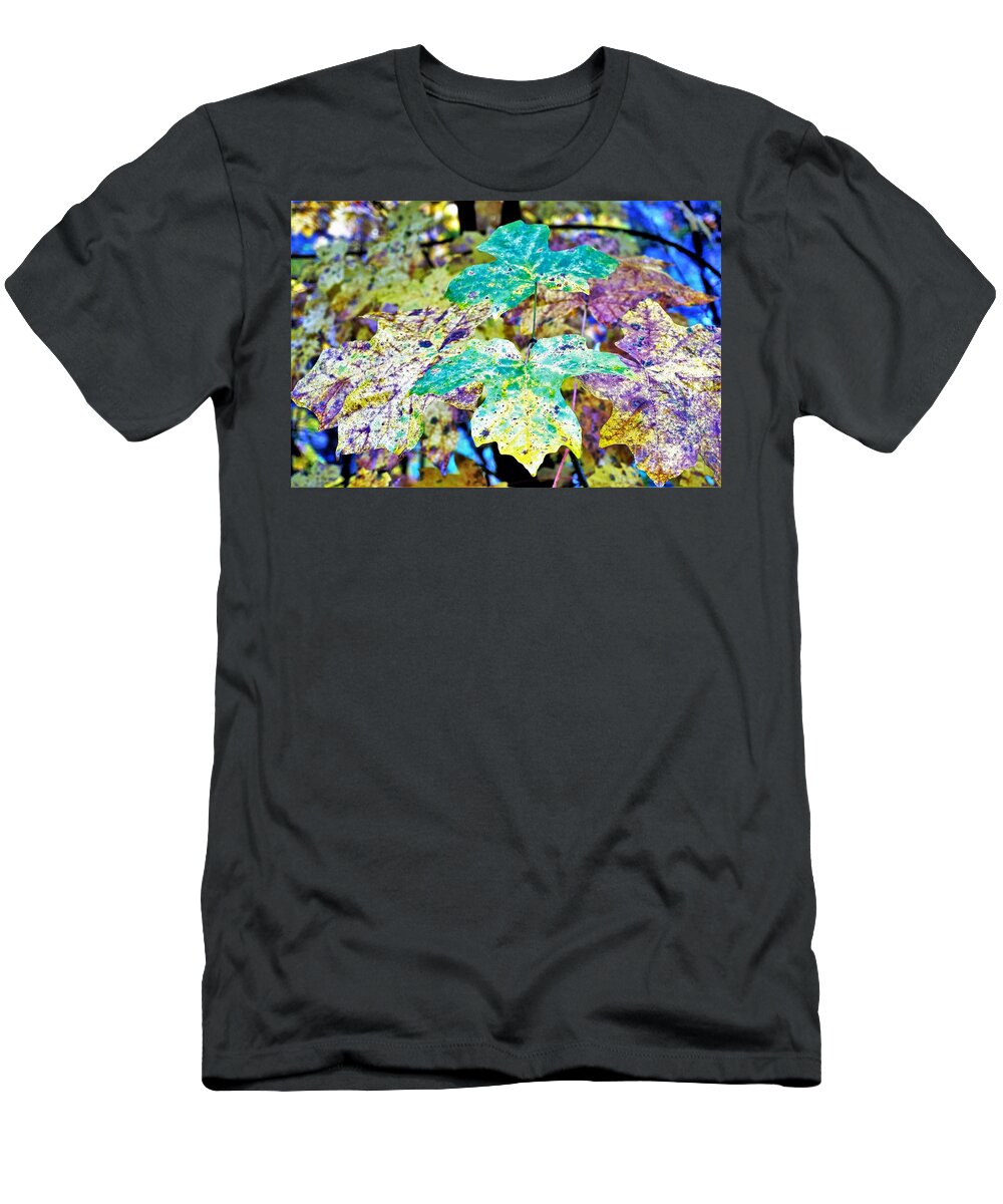 Foliage T-Shirt featuring the photograph Fall Leaves by Merle Grenz