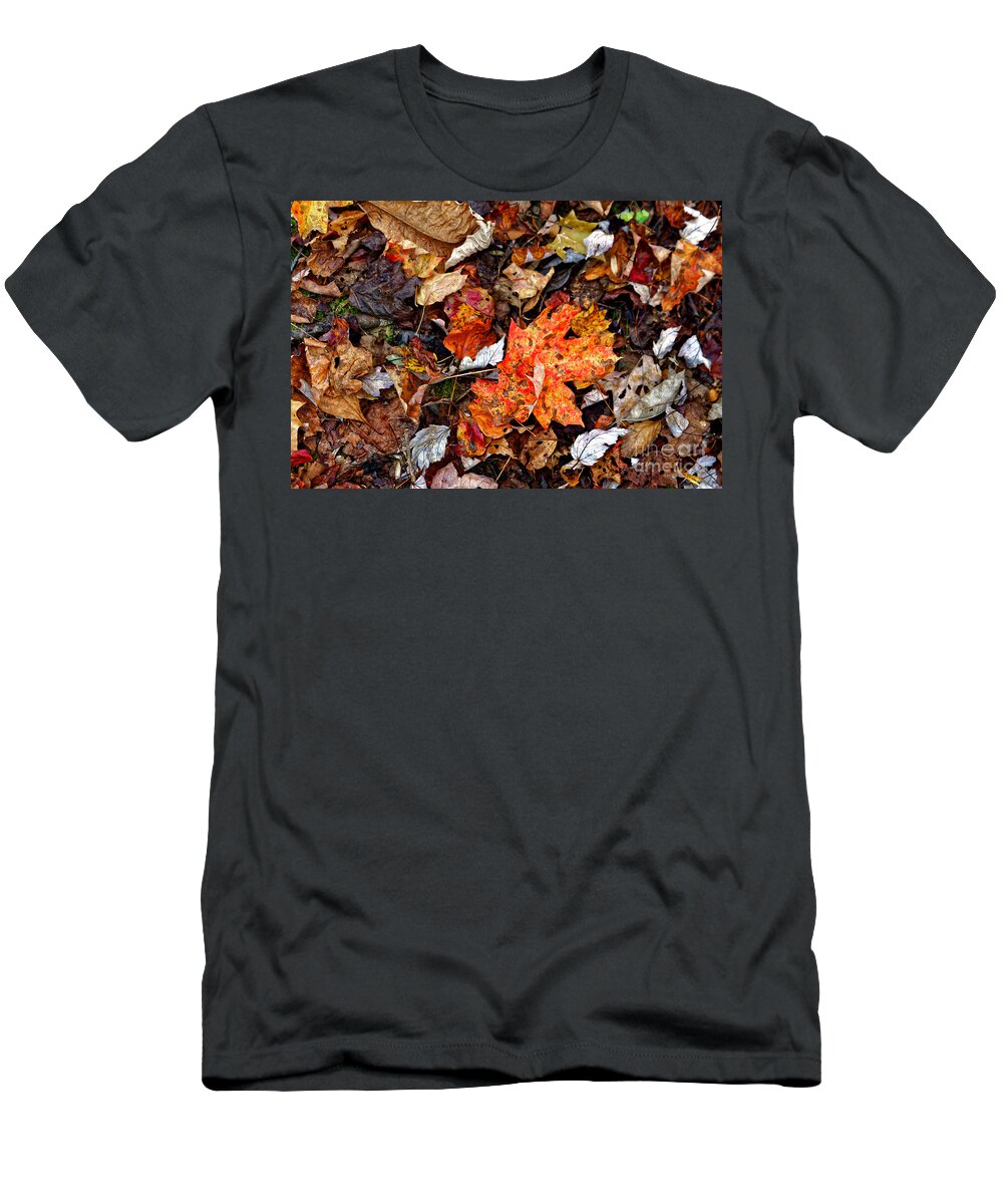 Leaves T-Shirt featuring the photograph Fall Leaves One by Paul Mashburn