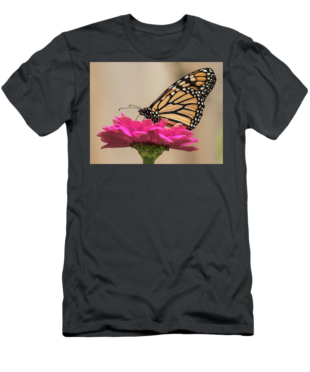 Monarch Butterfly T-Shirt featuring the photograph Fall Monarch 2016-4 by Thomas Young
