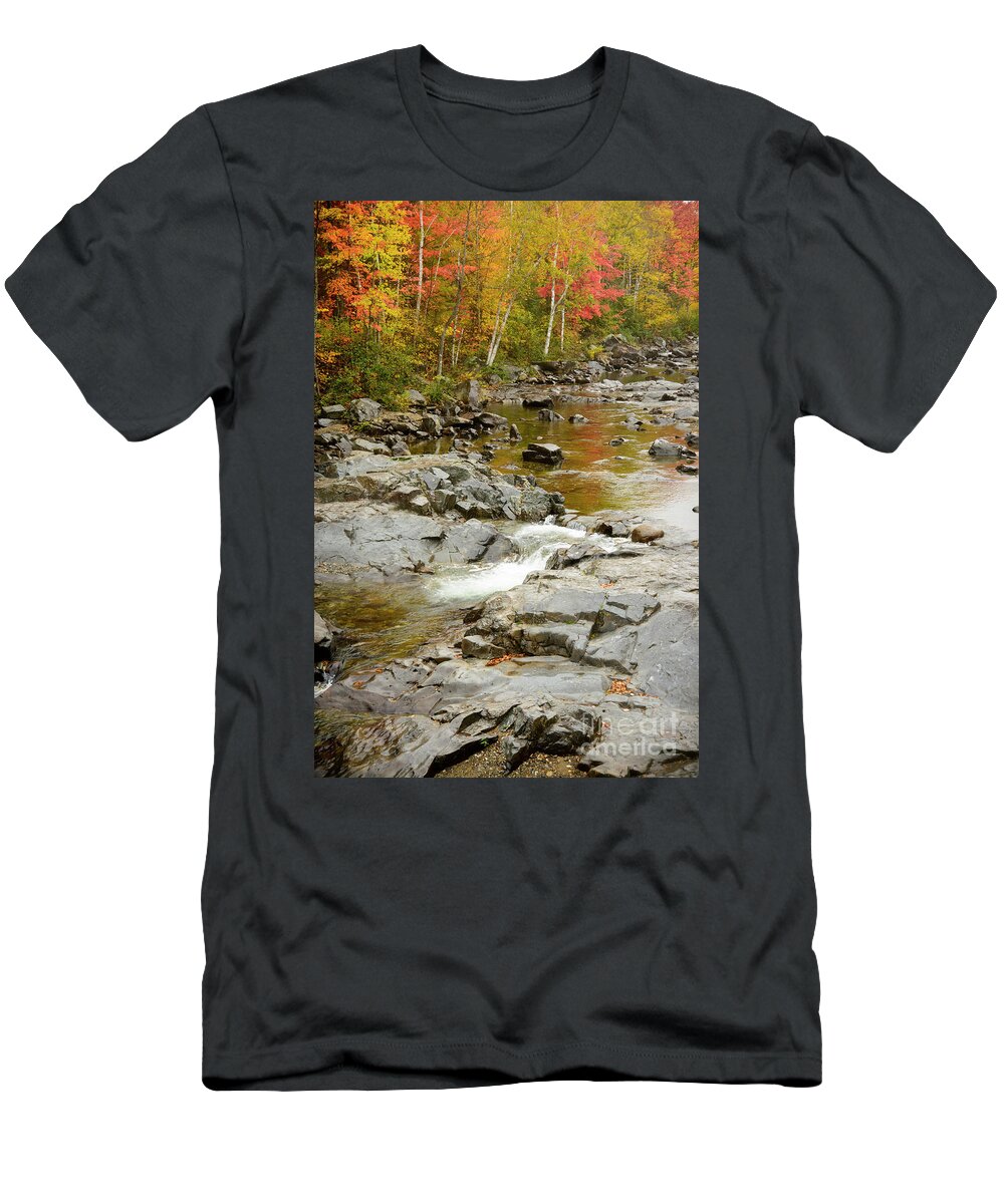 Maine T-Shirt featuring the photograph Fall on the Carrabassett River by Alana Ranney