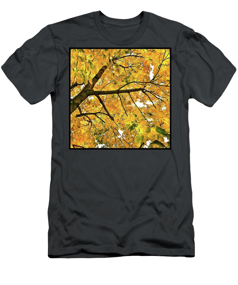 Fall T-Shirt featuring the photograph Fall on William Street by Al Harden