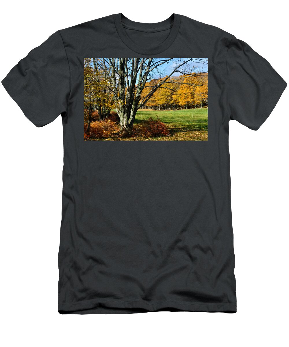 Trees T-Shirt featuring the photograph Fall Pasture by Tim Nyberg
