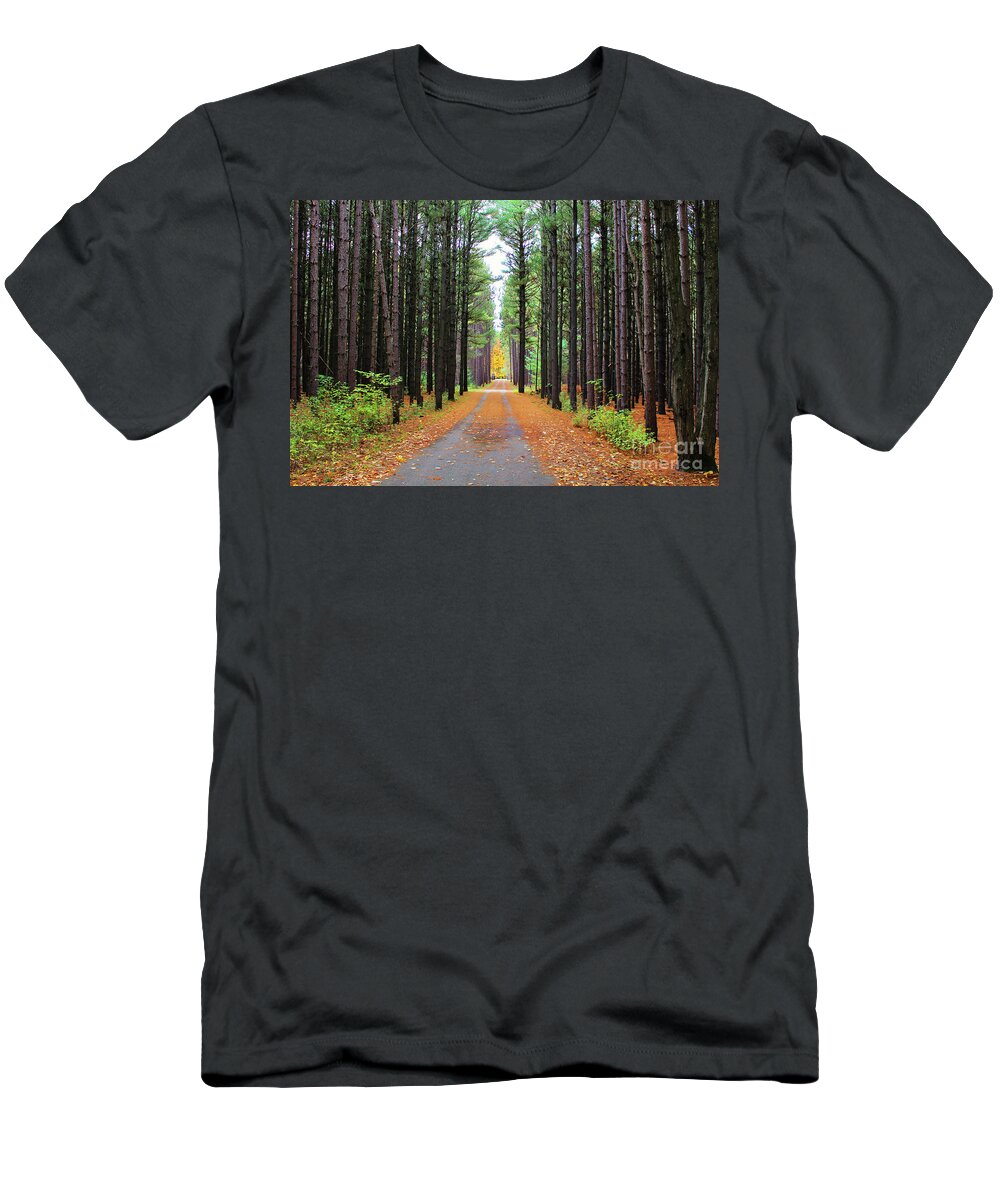 Fall T-Shirt featuring the photograph Fall Pines Road by Laura Kinker