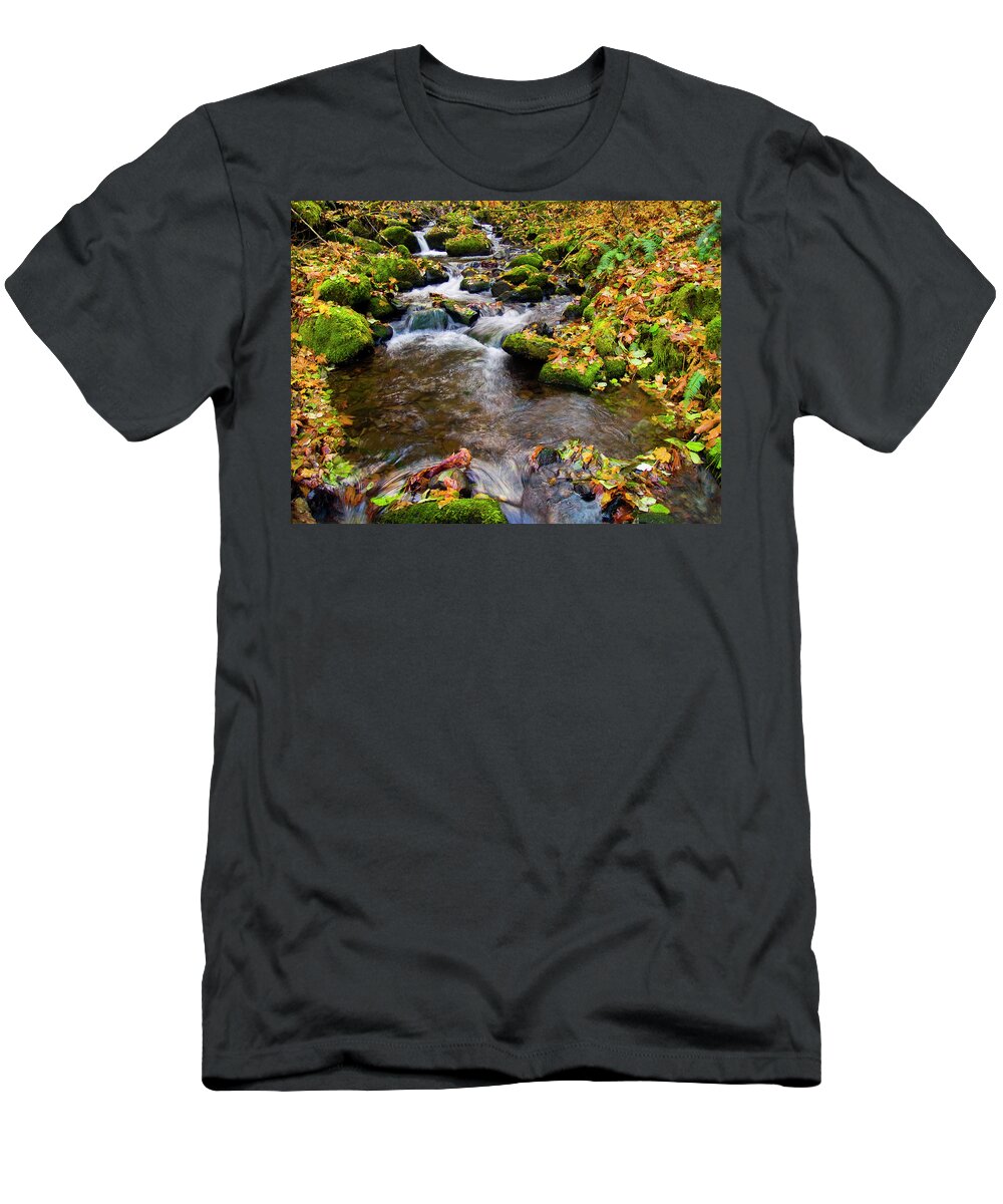 Landscapes T-Shirt featuring the photograph Fall Splendor by Steven Clark