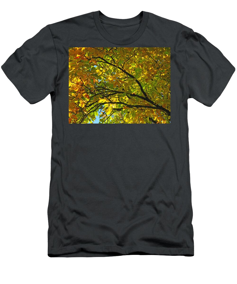 Tree T-Shirt featuring the photograph Fall Tree by Juergen Roth