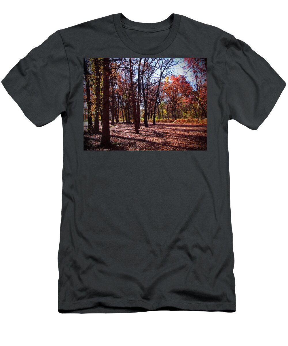 Cedric Hampton T-Shirt featuring the photograph Fall Tree Shadows 2 by Cedric Hampton