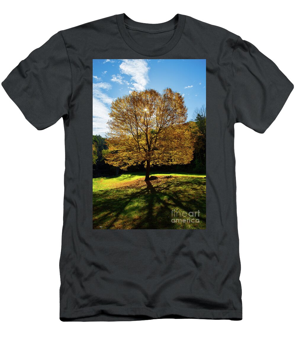 Tree T-Shirt featuring the photograph Fall Tree Silhouette Kent Falls State Park Connecticut by Kimberly Blom-Roemer