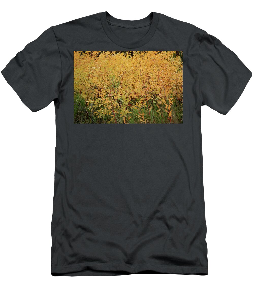 Fall T-Shirt featuring the photograph Fall by Trent Mallett