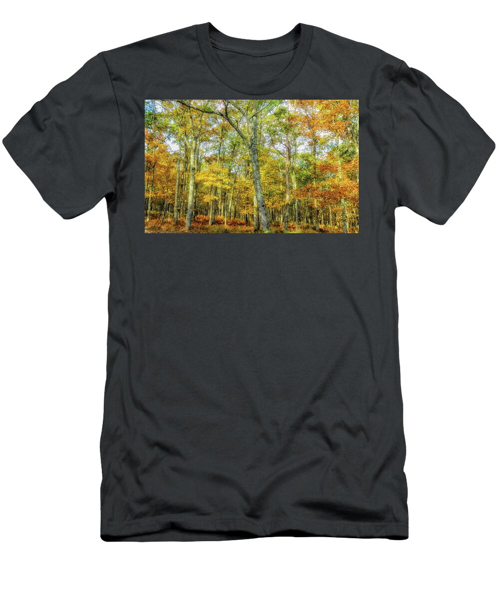 Landscape T-Shirt featuring the photograph Fall Yellow by Joe Shrader