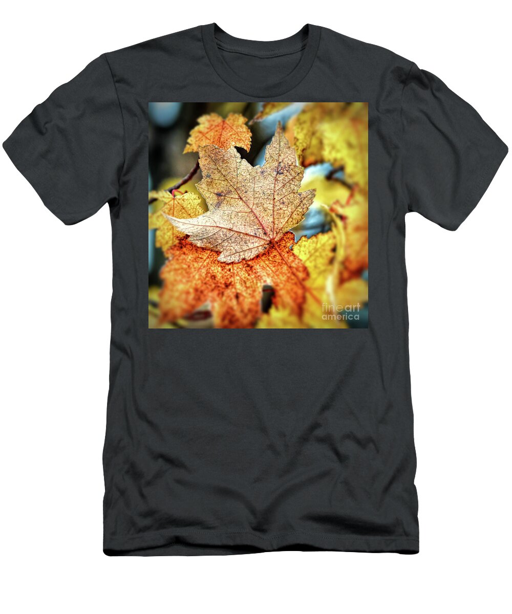 Leaf T-Shirt featuring the photograph Falling Together by Kerri Farley