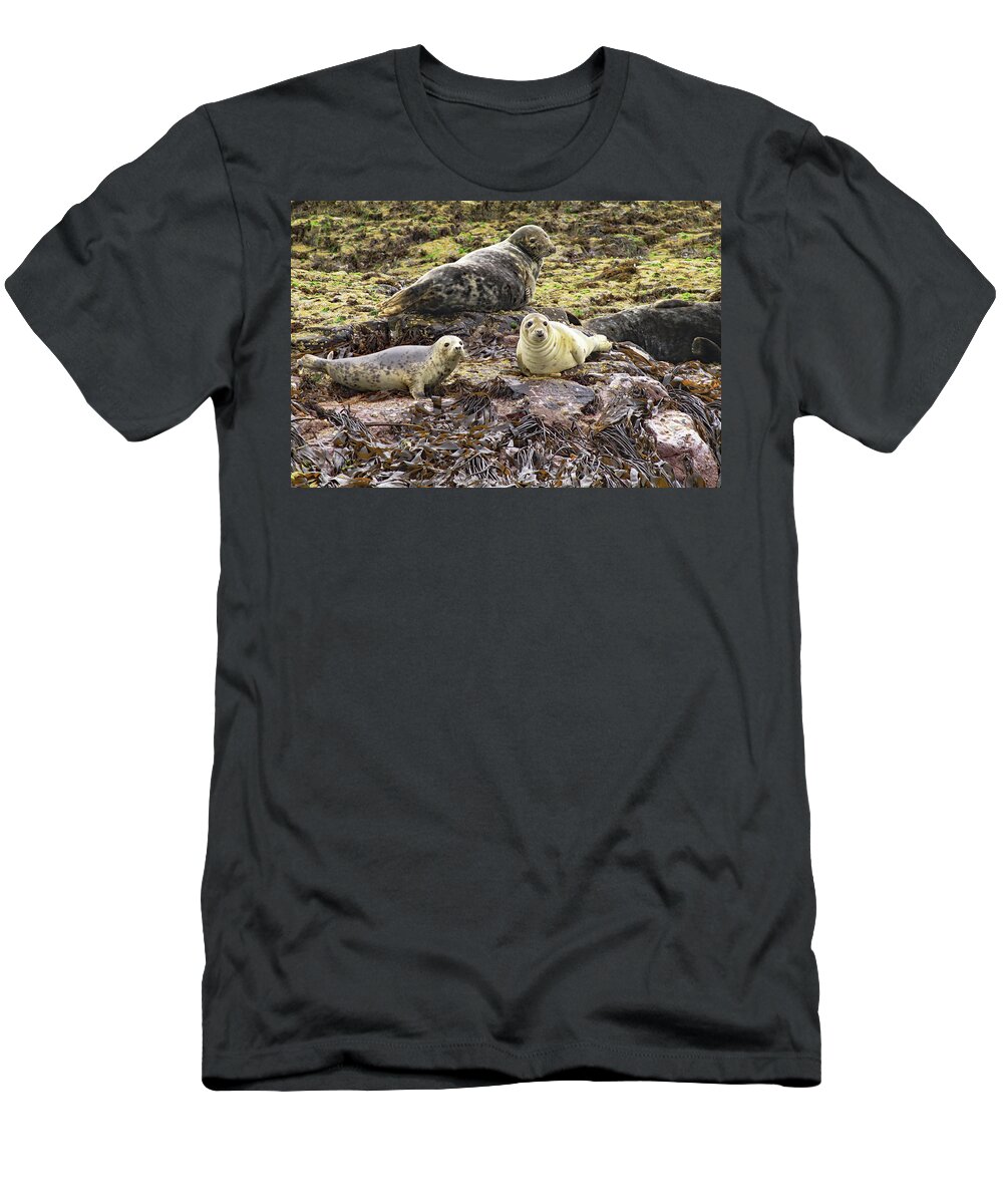 Grey Seals T-Shirt featuring the photograph Farne Island Seals by Tony Murtagh