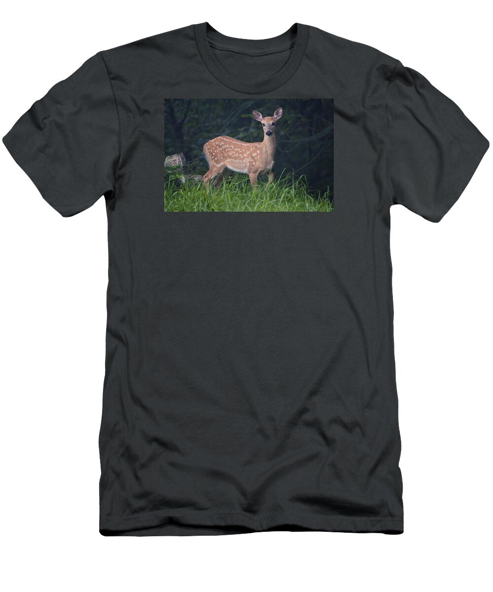Fawn T-Shirt featuring the photograph Fawn Doe by Ken Barrett