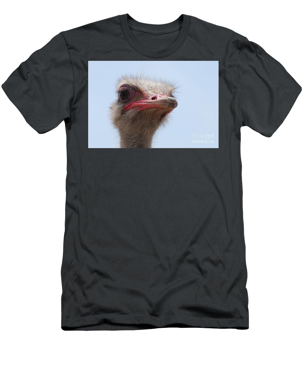Ostrich T-Shirt featuring the photograph Feathers Standing Around the Head of an Ostrich by DejaVu Designs