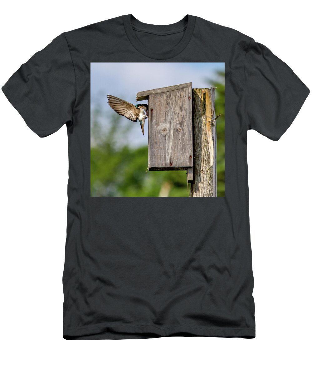 Bird T-Shirt featuring the photograph Feeding Time by Darryl Hendricks