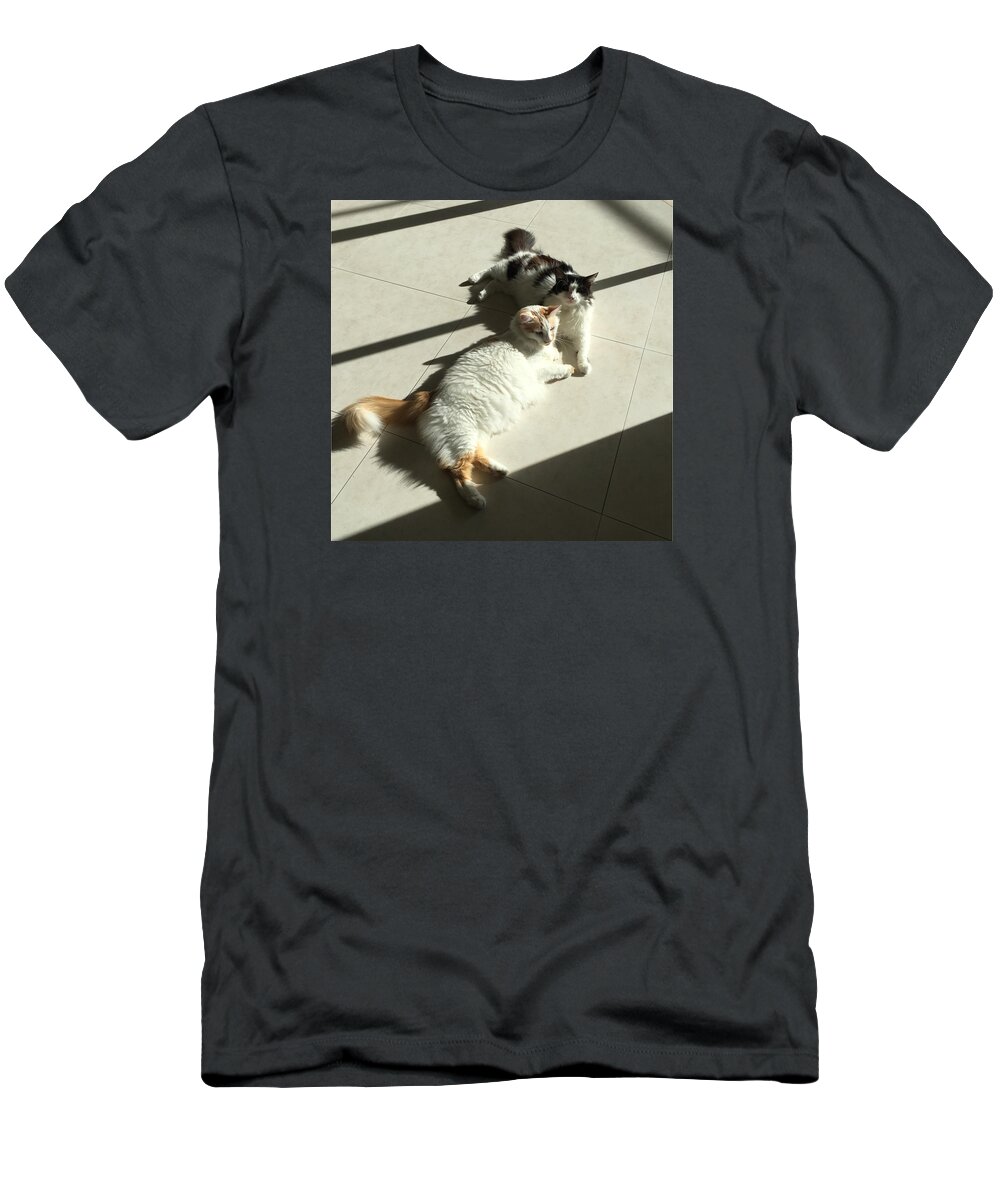 Karen Zuk Rosenblatt Art And Photography T-Shirt featuring the photograph Feline Friends by Karen Zuk Rosenblatt