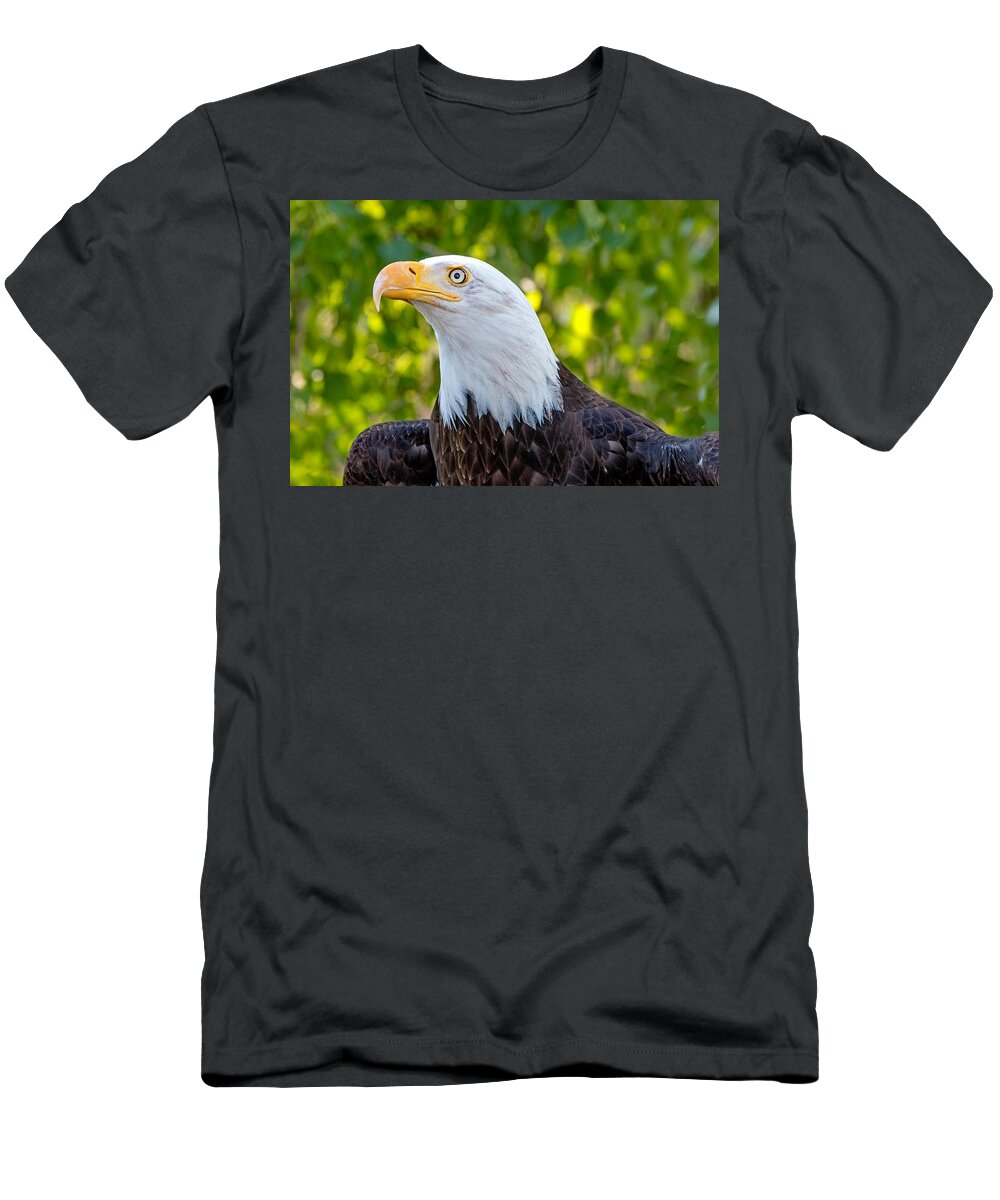 Bald Eagle T-Shirt featuring the photograph Female Bald Eagle Portrait by Dawn Key