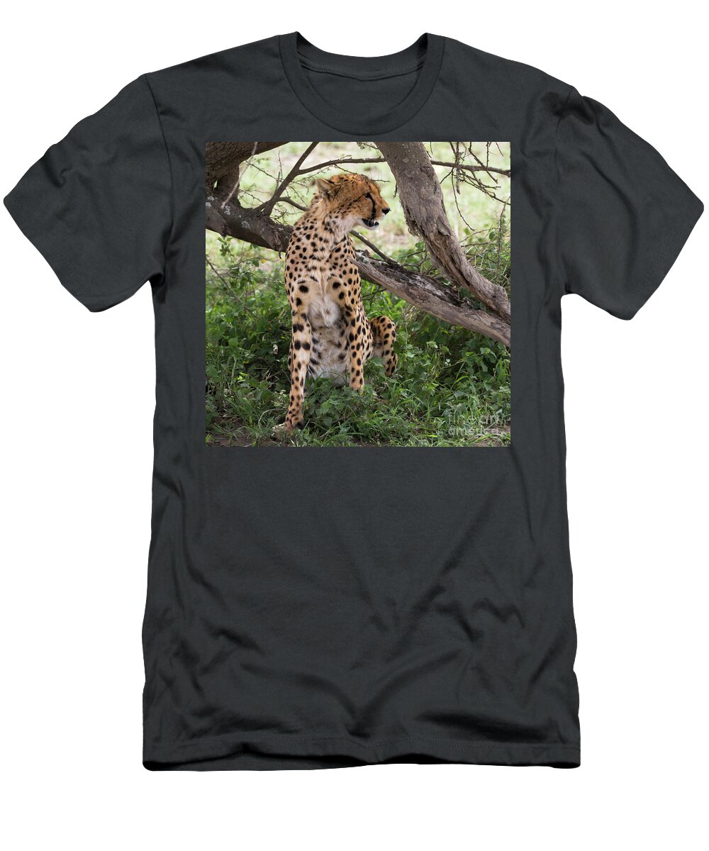 Arusha T-Shirt featuring the photograph Female cheetah under a tree in Serengeti region by RicardMN Photography