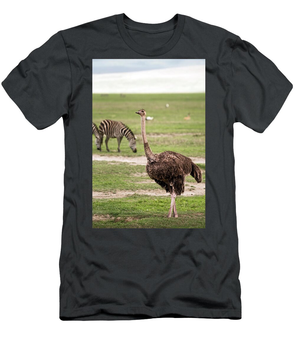 Ostrich T-Shirt featuring the photograph Female masai ostrich and zebras in Ngorongoro Crater by RicardMN Photography