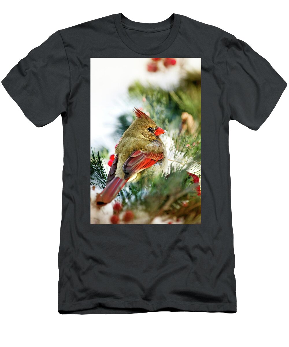 Cardinal T-Shirt featuring the photograph Female Northern Cardinal by Christina Rollo