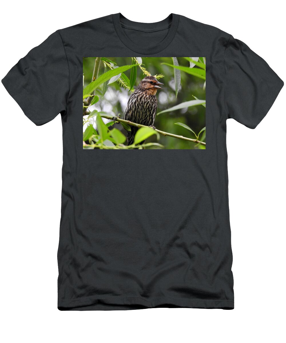 Bird T-Shirt featuring the photograph Female Redwinged Blackbird by Betty-Anne McDonald