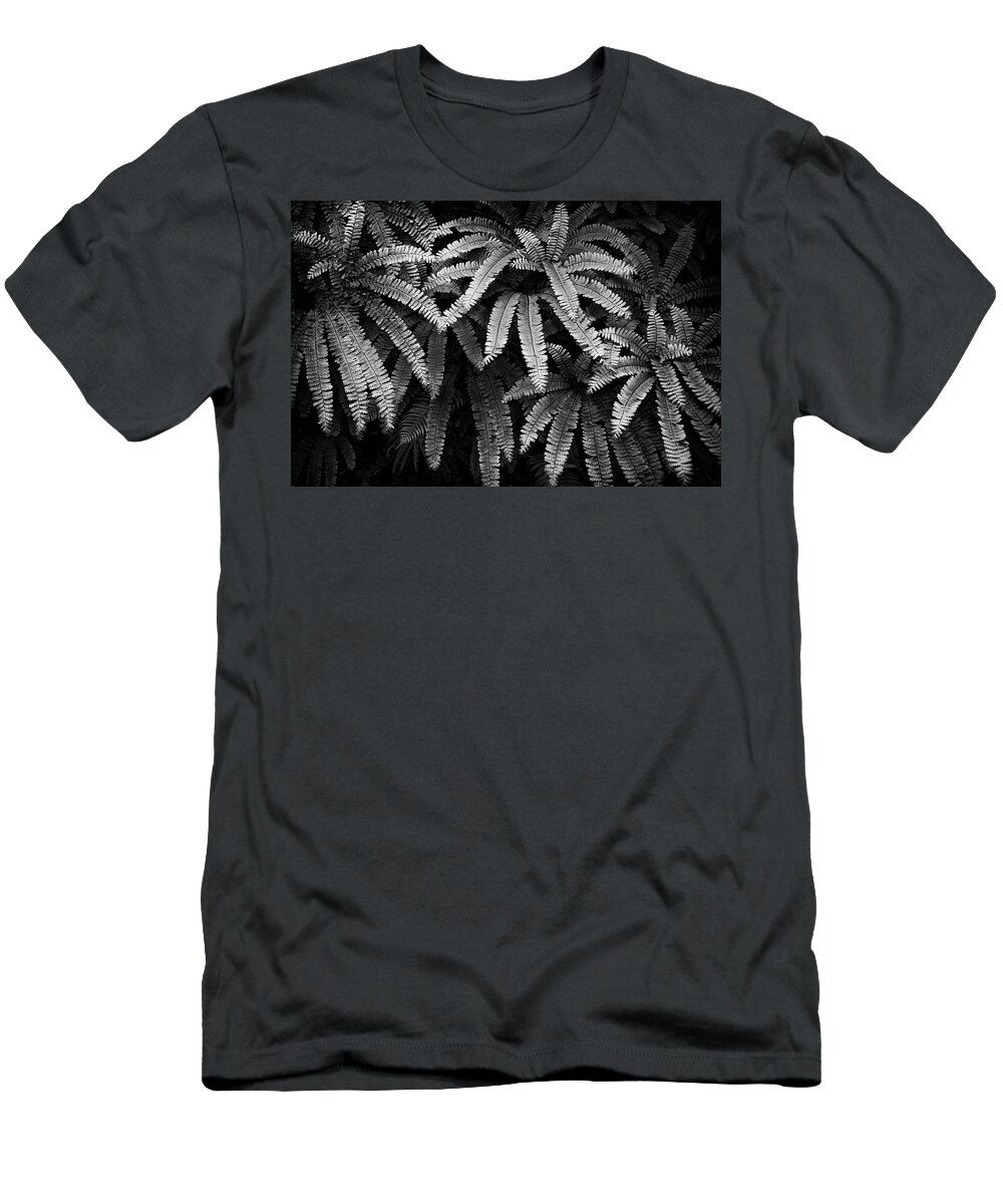 Black And White T-Shirt featuring the photograph Fern and Shadow by Steven Clark