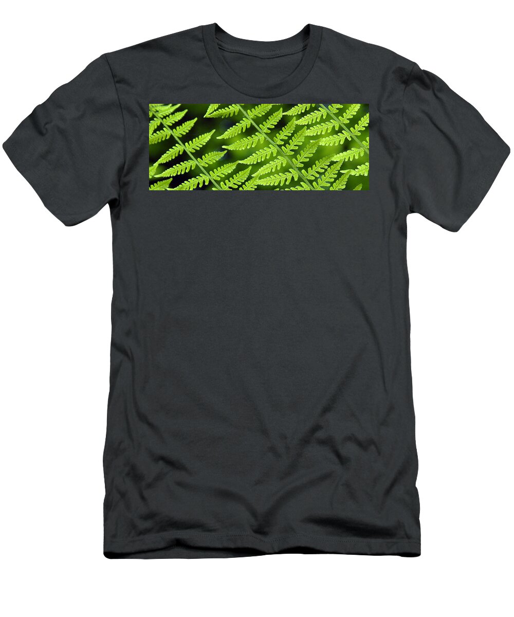 Fern T-Shirt featuring the photograph Fern Branches by Ted Keller