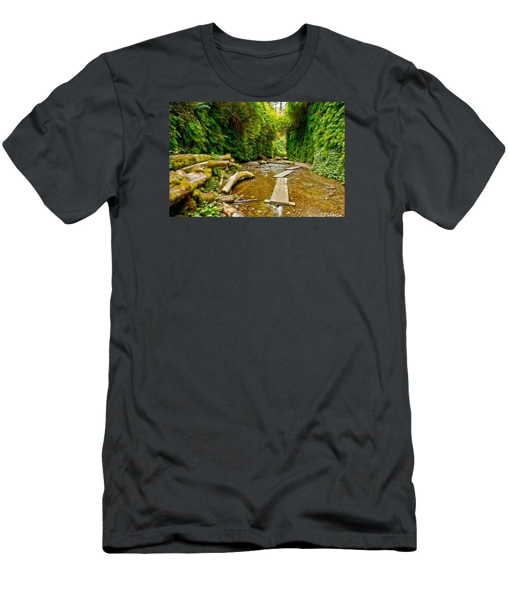 Photograph T-Shirt featuring the photograph Fern Canyon by Richard Gehlbach