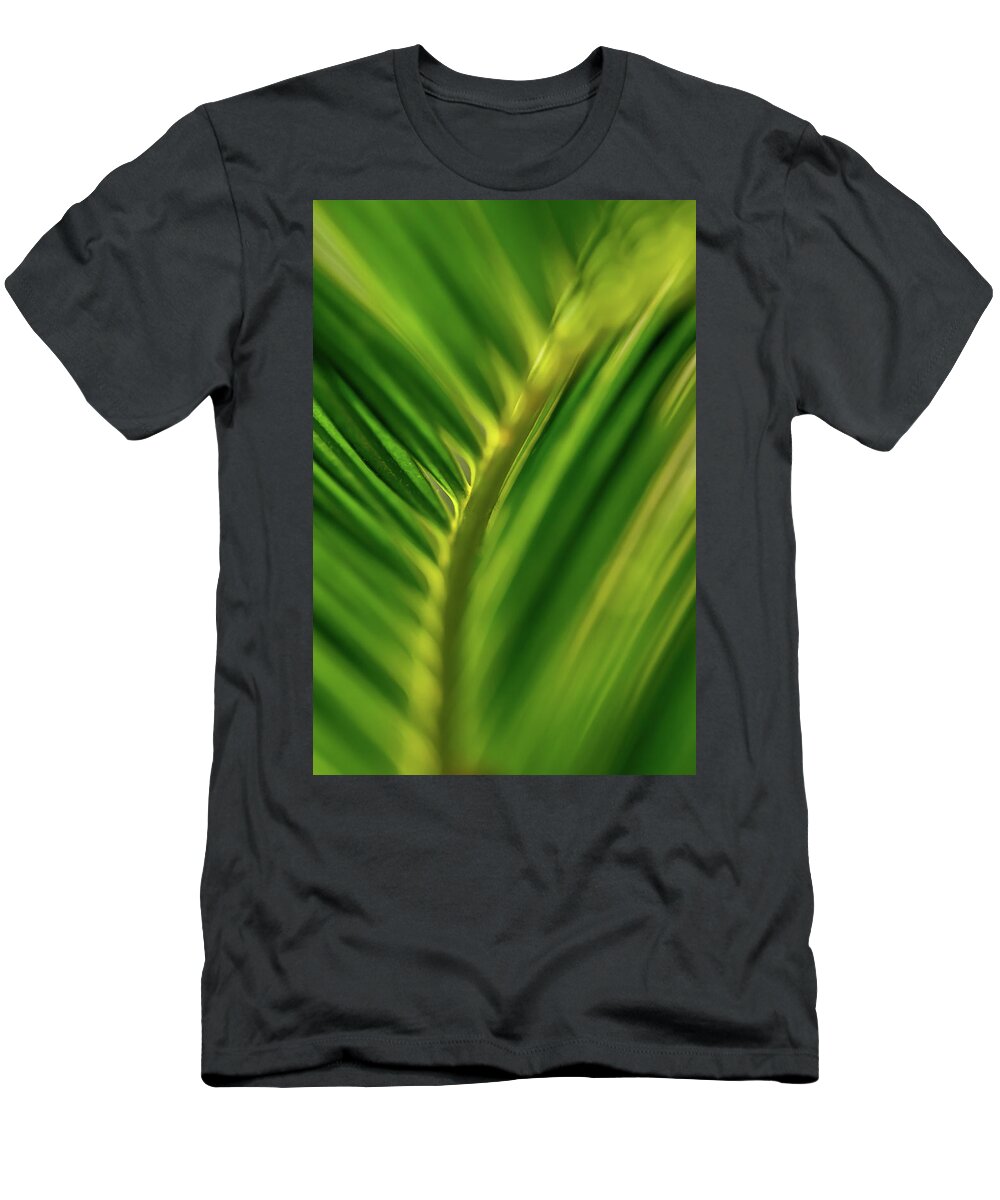 Jay Stockhaus T-Shirt featuring the photograph Fern by Jay Stockhaus